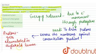 Energy released during movement of electrons through the photosystems in photosynthesis is used [upl. by Orlan]