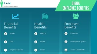 Cigna Employee Benefits  Benefit Overview Summary [upl. by Ainnat297]