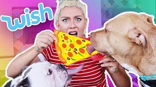 TESTING CHEAP DOG TOYS FROM WISH  Skyes Family  NICOLE SKYES [upl. by Gregoor]