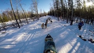 Jeff Kings Iditarod Ceremonial Start [upl. by Blayze]