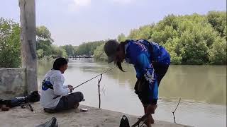 Dulur Mancing 88 LIVE  fishing [upl. by Noemi]