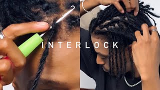 MANUTENÇÃO DE DREADS COM INTERLOCK [upl. by Judi229]