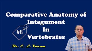 Comparative Anatomy of Integument in Vertebrates [upl. by Nivaj]