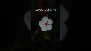 Nabi Kareem ﷺ ke khidmat mien arz kia gaya Ajmal Raza Qadrishorts [upl. by Norrag]