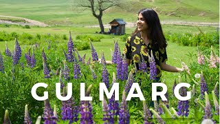 Gulmarg Travel Guide Exploring Paradise in Summer  Top Places to Visit in Kashmir [upl. by Oderf]