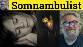 🔵 Somnambulist Meaning  Somnambulism Examples  Somnambulist Defined  Literary English [upl. by Alebasi]