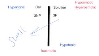 Tonicity amp Osmolarity [upl. by Ettolrahc]