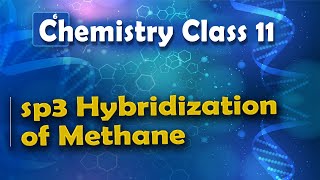 sp3 Hybridization of Methane  Nature of Chemical Bond  Chemistry Class 11 [upl. by Leandro]