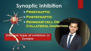 Synaptic InhibitionDifferent Types Of Inhibition In Synapse Presynaptic Postsynaptic Renshaw Cell [upl. by Kendre280]