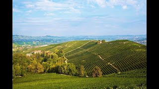 In viaggio con WineNews nella storica tenuta di Fontanafredda tra le più belle realtà del Barolo [upl. by Merrilee519]