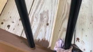 Tip for staining decks with metal spindles [upl. by Renick670]