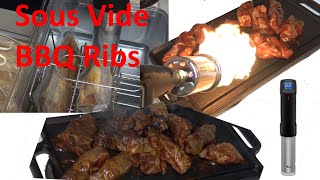 475 Sous Vide Barbecued Southern Style Boneless Pork Ribs [upl. by Madaras]