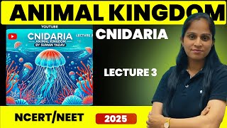 Cnidaria  Animal kingdom  Lecture 3  Suman Yadav [upl. by Mohl394]