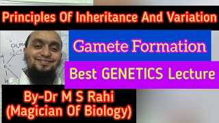 NEET Biology  Genetics  Fork Line Method for solving Dihybrid Cross  Class12th  AIIMS [upl. by Stephan]