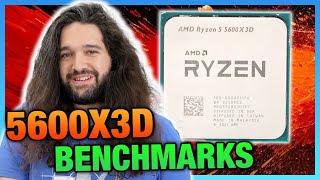 AMD Ryzen 5 5600X3D CPU Review amp Benchmarks Last Chance Upgrade [upl. by Nnaycnan]