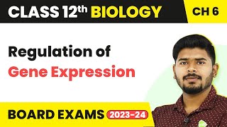 Regulation of Gene Expression  Molecular Basis of Inheritance  Class 12 Biology 202223 [upl. by Ferdinand548]