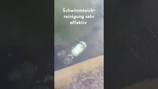 Schwimmteichreinigung mit Tauchgerät schwimmteich naturpool teich [upl. by Docilla927]