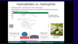 BioMEMS Module 4A  Patterning Cells Proteins and Surface Chemistry [upl. by Seftton]