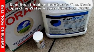 Benefits of Adding Borate to your Pool Sparkling Water amp Less Chemical Costs [upl. by Ettenim]