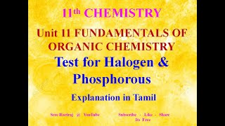 Test for Halogen amp Phosphorous in Tamil Unit  11  11th Chemistry [upl. by Berstine441]