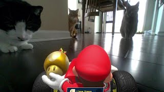 🏁 FIRST LOOK at Mario Kart Live Home Circuit WATCH FOR CATS 🙀 [upl. by Wilmott]