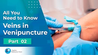 Anatomy of Phlebotomy I Venipuncture Procedure I Global Edulink [upl. by Eislehc]