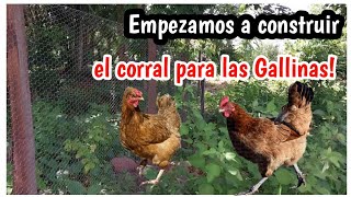 como hacer un corral para gallinas con malla [upl. by Kunz323]