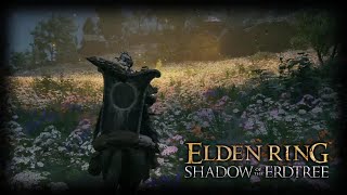 A Mystery of never fading Gold Elden Ring  Shadow of the Erdtree EP 78 [upl. by Magnolia]