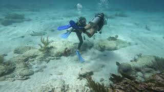 Puerto Morelos Mexico reef dive [upl. by Popper]