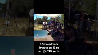 65 Creedmoor vs 12 oz can 830 yards [upl. by Houser]