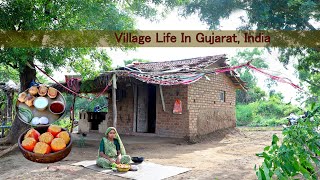 Tameta Bhajiya  Village Food Traditional Village Cooking [upl. by Imogen]