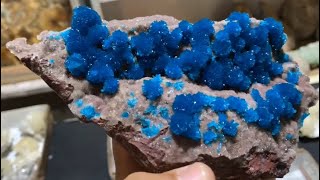 Cavansite  electric blue crystals [upl. by Reena]