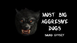 Most big aggressive dogs bark amp growl  True recording sound effects HQ [upl. by Enyawed]