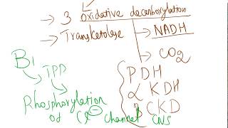 Coenzyme role of B1 Thiamine [upl. by Jessa]