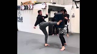 FIGHT TRAINING Tornado Kick for MMA [upl. by Kirstyn636]