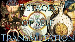 Alchemical Sacrifice Practical ApplicationProcess of the 7 Stages [upl. by Hassin]