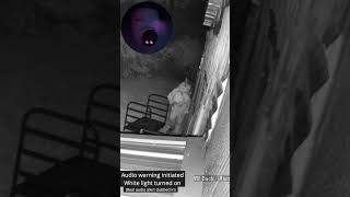 How to Stop Trespassing Active Deterrence Cameras in Action [upl. by Arluene]