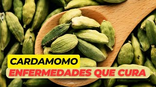 Beneficios del cardamomo para la salud enfermedades que cura [upl. by Mildrid]