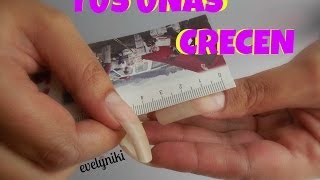 TUS UÑAS CRECEN mas consejos LONG NAILS [upl. by Auberbach771]