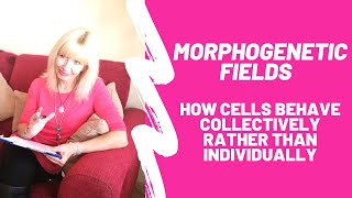 Thoughts on Morphogenetic Fields about how cells behave collectively rather than individually [upl. by Nytsud]