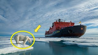 Polar Bear Tries To Get Attention From Fishing Ship When Crew Notices They Lower A Rescue Vessel [upl. by Woodley]