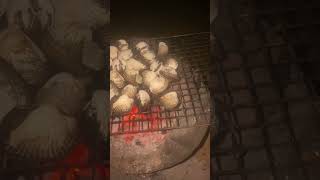 Roasted oysters cooking shorts shortvideo [upl. by Jeremias]