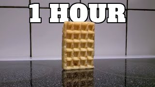 Waffle falling over 1 Hour [upl. by Afton]