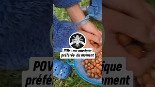 Que font ces petits écureuils  🐿🥜🌲 [upl. by Niliac361]