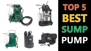 Best Sump Pump 2019  2020 [upl. by Atiran]