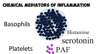 Chemical mediators of Inflammation [upl. by Hannon]