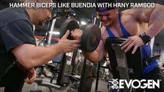 Hammer FST7 Biceps Like Buendia with Coach Hany Rambod at Bevs [upl. by Annairb]