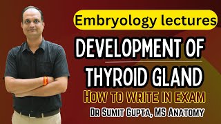 Development of thyroid gland  Embryology [upl. by Gibbon]