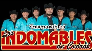 LOS INDOMABLES DE CEDRAL MIX [upl. by Upali]