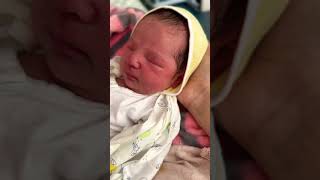 Safina’s first day in this life🥹❤️ deerbabycutesweet1dayoldsubscribelikesupportmychannel [upl. by Christy]